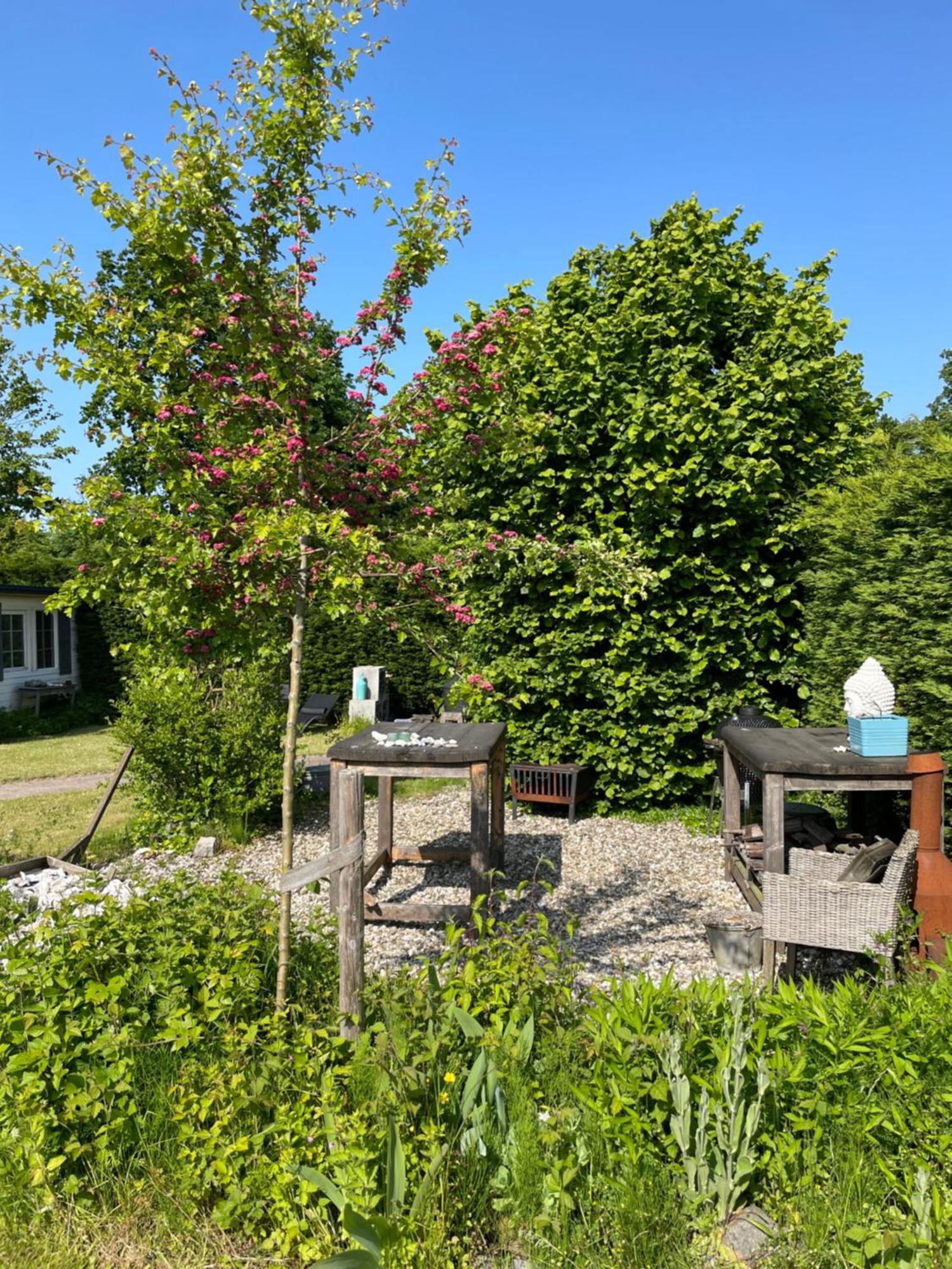Your Private Zeeland Getaway - Cosy With Large Garden *